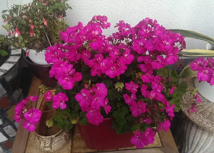 Humboldtruh Weitersburg